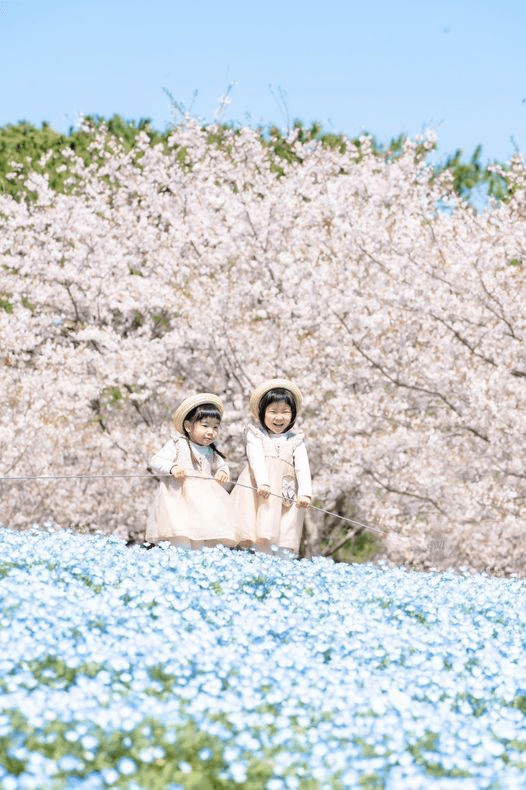 青い花が広がる畑の奥で、満開の桜を背景に立つ子どもたちが写る春の風景。色彩豊かな自然の中で過ごす穏やかな時間を感じる。