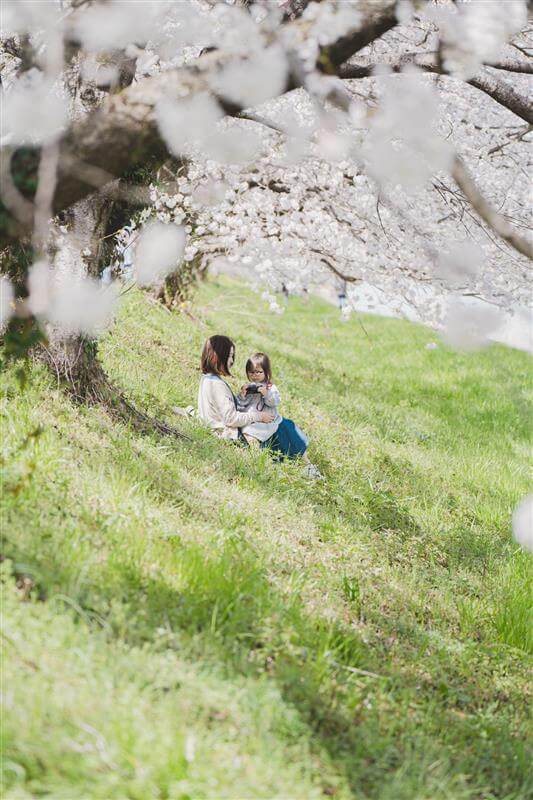 満開の桜の木の下で芝生に座る二人の人物が写る春の風景。自然の中で過ごす穏やかな時間が、季節のやさしさを感じさせる一枚。