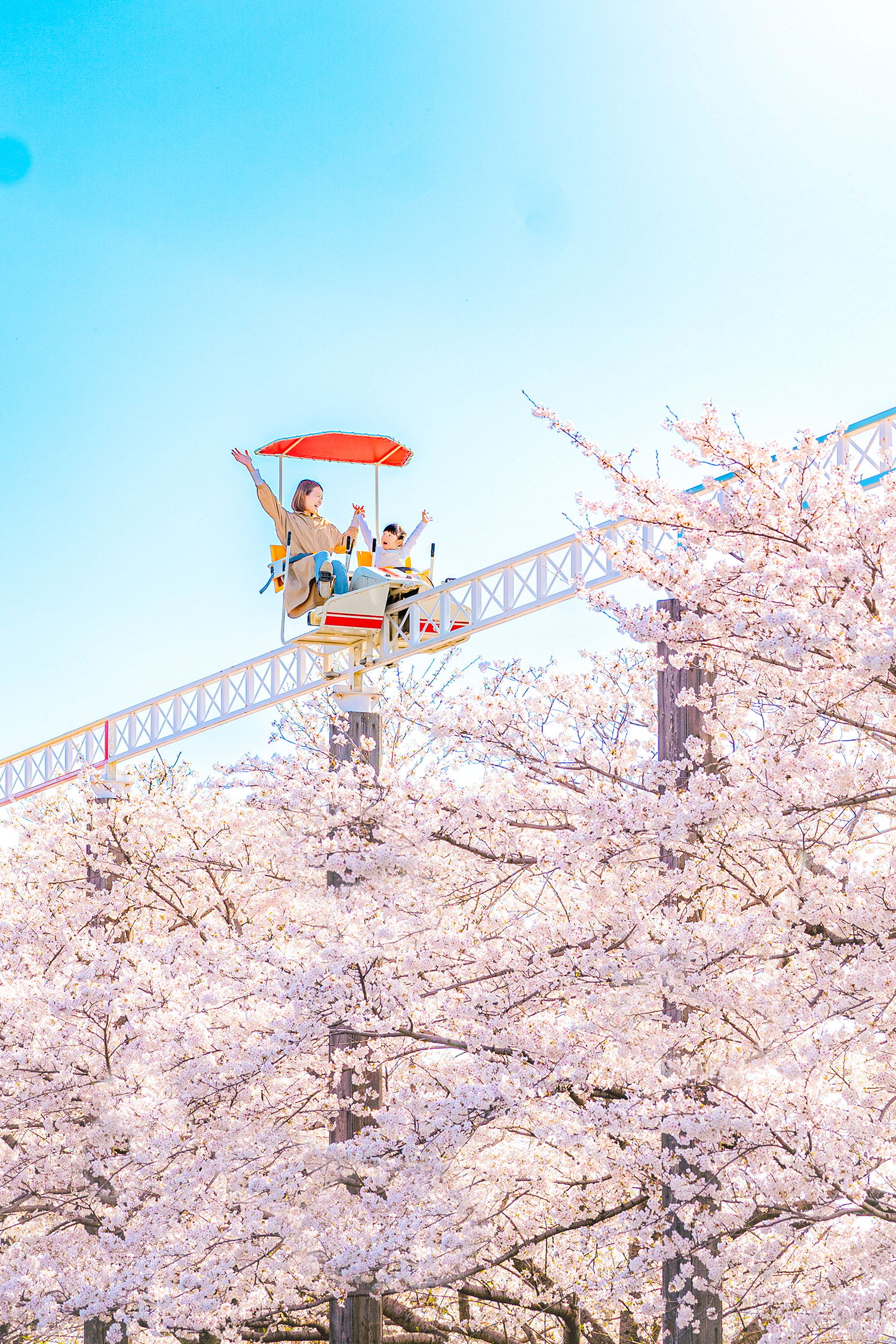 満開の桜の上を遊園地の乗り物がに乗る親子写る写真。桜の上を散歩しているような視点がユニークで、季節の楽しさを感じる一枚。