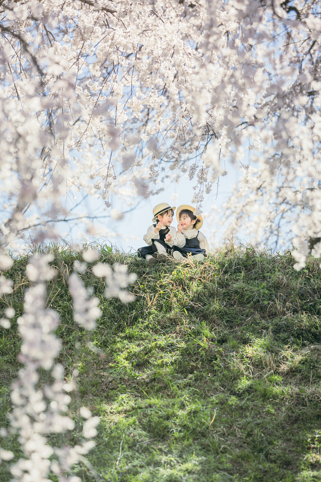 桜の枝が広がる丘の上で麦わら帽子の子どもたちが座る春の風景。自然の中で過ごす穏やかな時間が、季節のやさしさを伝える写真。