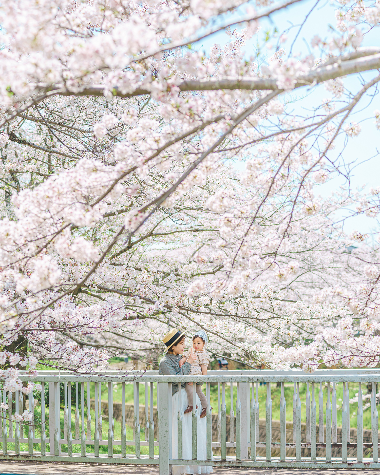 桜が咲く橋の上で笑顔の親子が移るほほえましい様子。自然の中で交わされる静かな時間が、季節のやさしさを感じさせる写真。