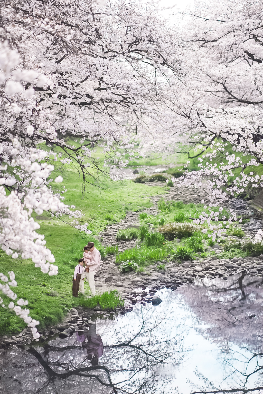 川辺の桜の下の親子の様子を上から撮った一枚。枝から垂れる花々と水面の反射が幻想的で、穏やかな時間が流れる一枚。