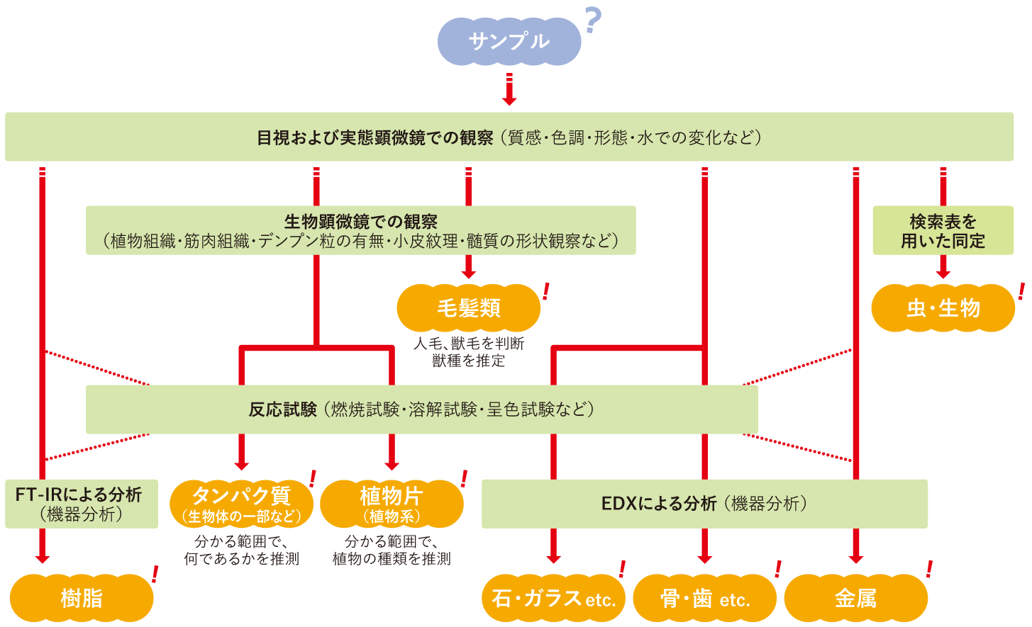 検査フローの画像