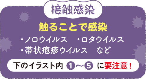 接触感染 触ることで感染 ・ノロウイルス・ロタウイルス・帯状疱疹ウイルス　など 下のイラスト内 ❶〜❺ に要注意！