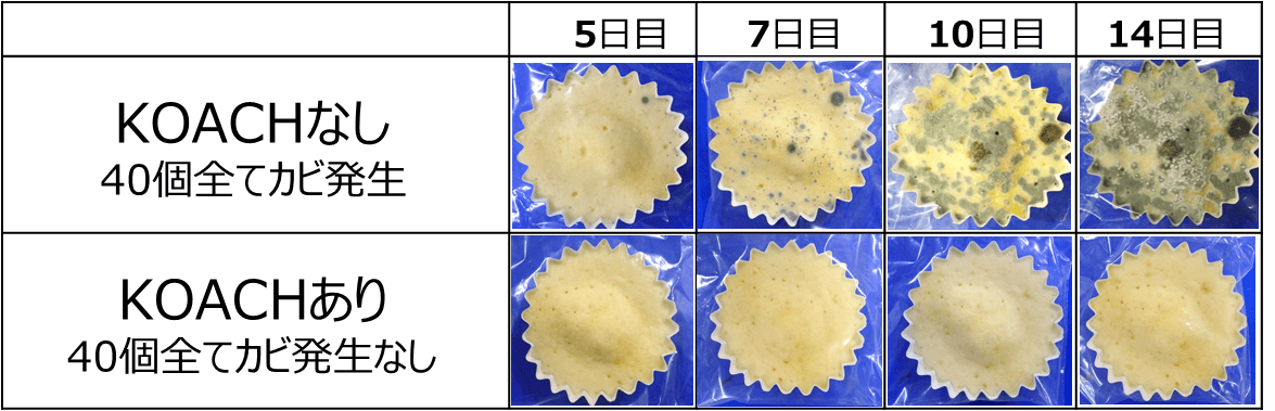 落下菌試験 結果