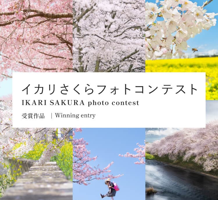 イカリさくらフォトコンテスト